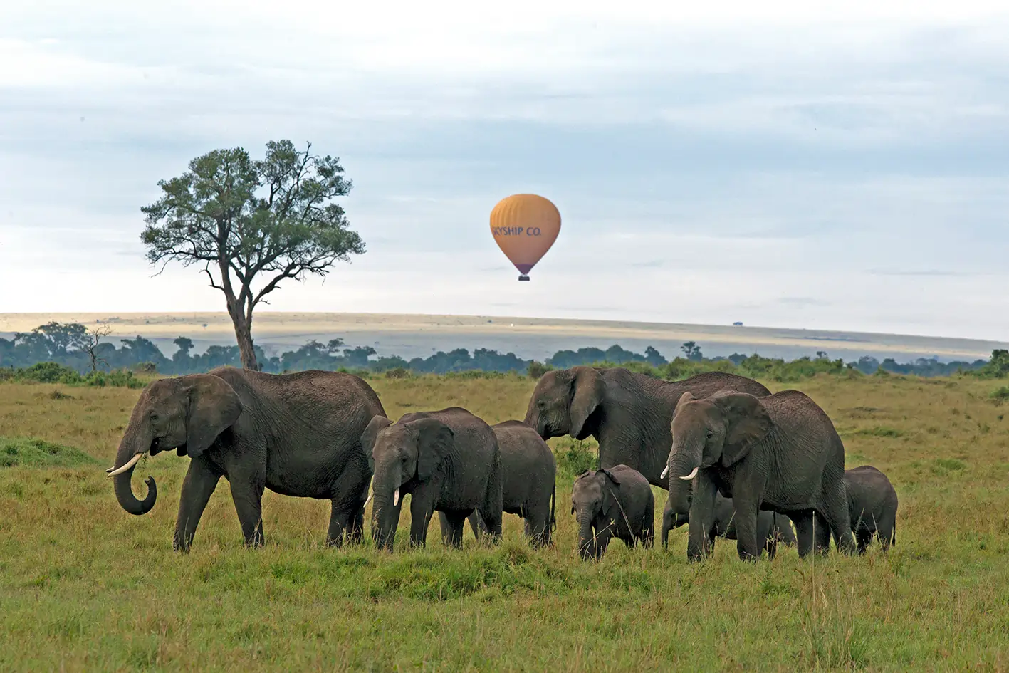 6 Days Tanzania Safari
